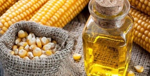 Как использовать масло кукурузы для волос
