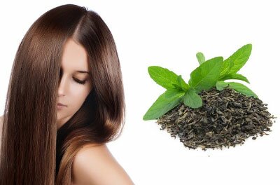 Зеленый чай для волос: польза, маски и отзывы о применении